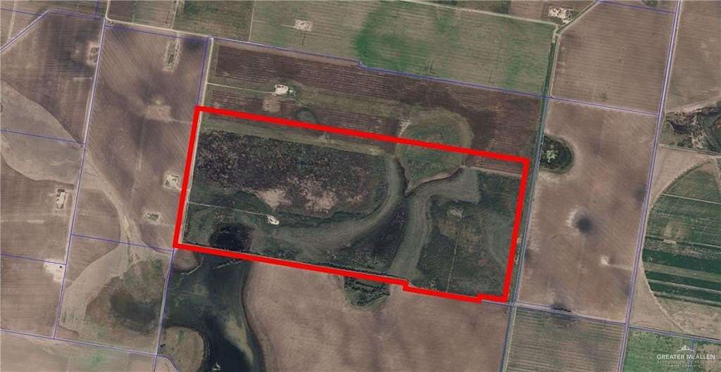 230 Acres of Land for Sale in Edinburg, Texas