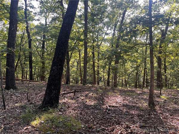3.13 Acres of Residential Land for Sale in Gravois Mills, Missouri