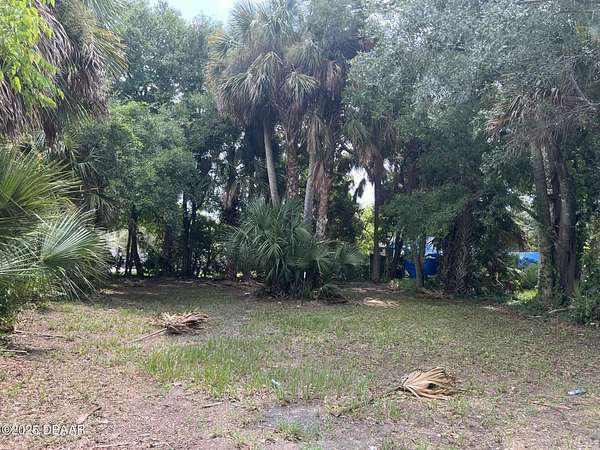 0.08 Acres of Residential Land for Sale in Daytona Beach, Florida