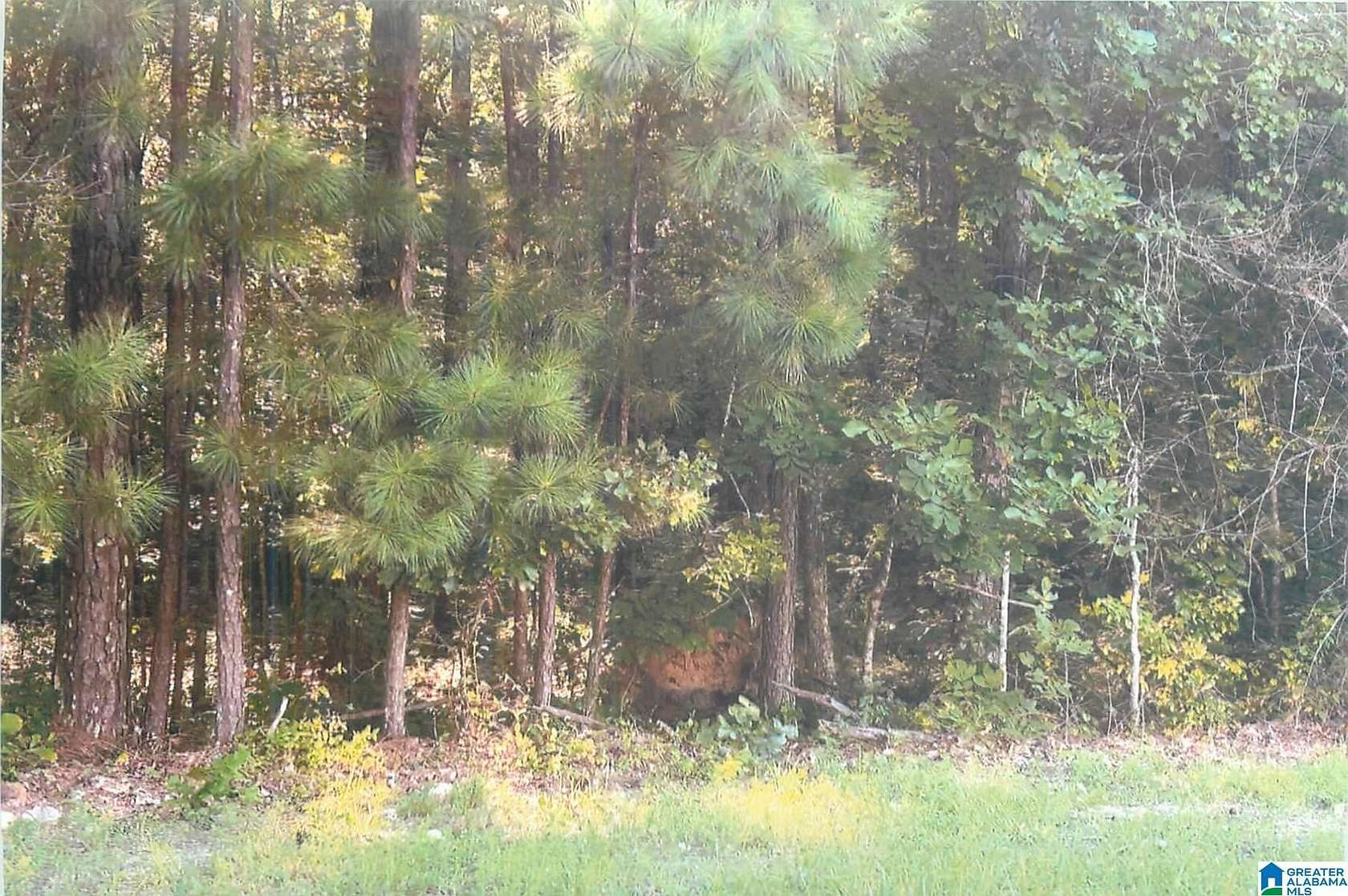0.45 Acres of Residential Land for Sale in Talladega, Alabama
