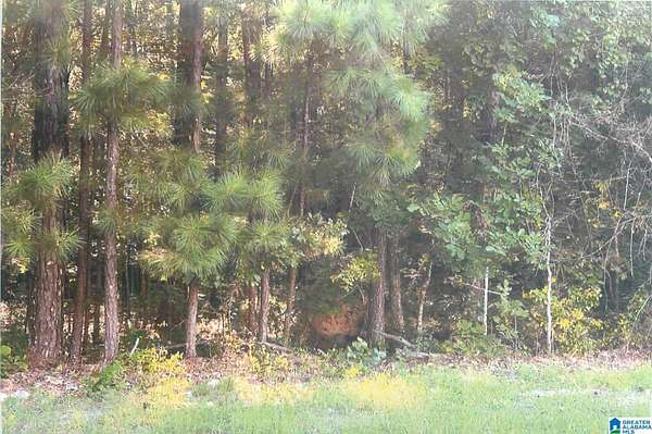 0.45 Acres of Residential Land for Sale in Talladega, Alabama
