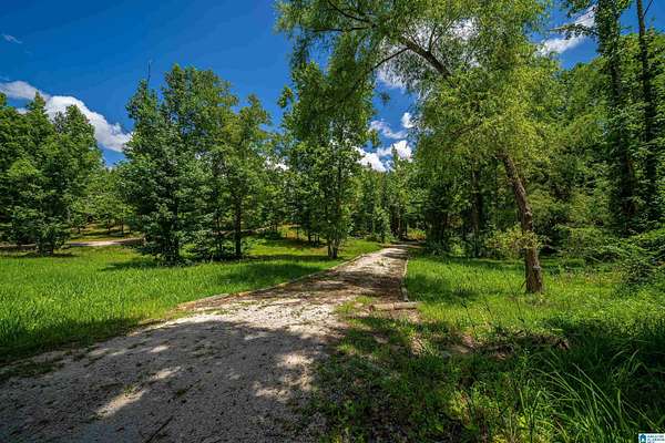 2.36 Acres of Residential Land for Sale in Piedmont, Alabama