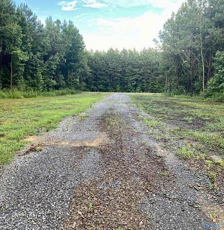 20 Acres of Recreational Land for Sale in Fyffe, Alabama