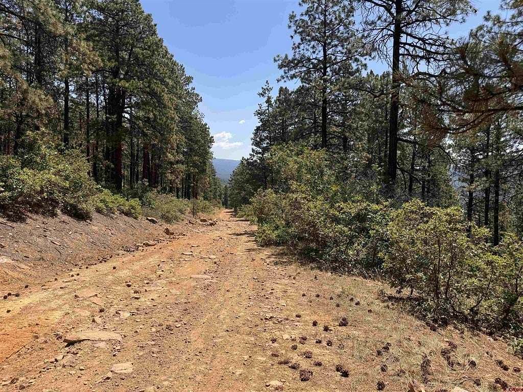 117 Acres of Recreational Land for Sale in Bayfield, Colorado