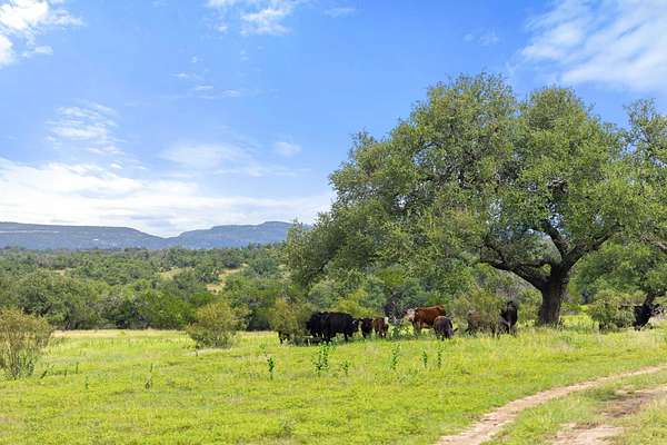 47 Acres of Land for Sale in Fredericksburg, Texas
