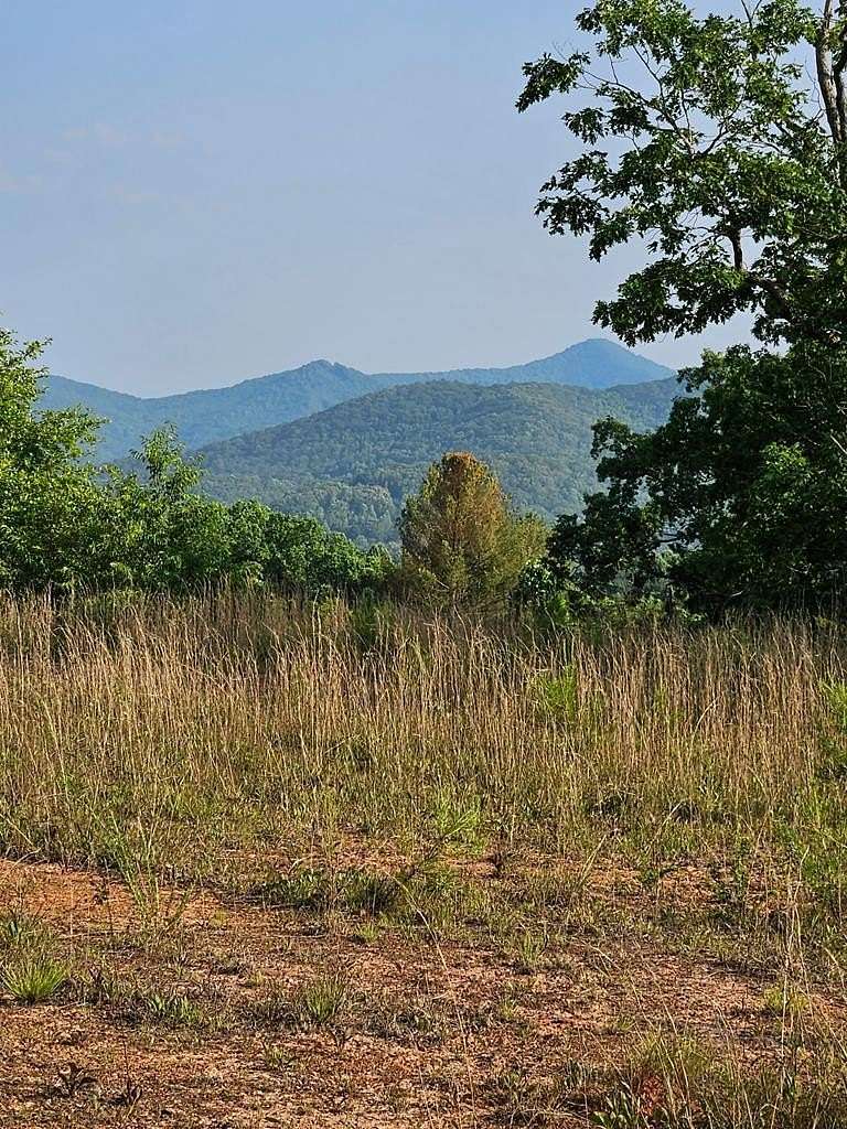 21 Acres of Commercial Land for Sale in Hiawassee, Georgia