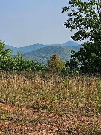 21 Acres of Commercial Land for Sale in Hiawassee, Georgia