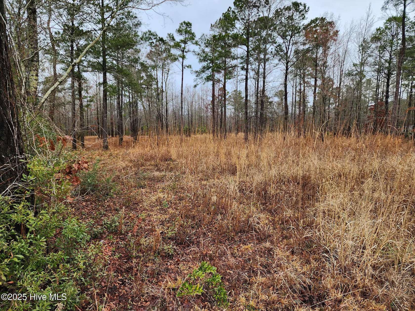 46 Acres of Land for Sale in Vanceboro, North Carolina