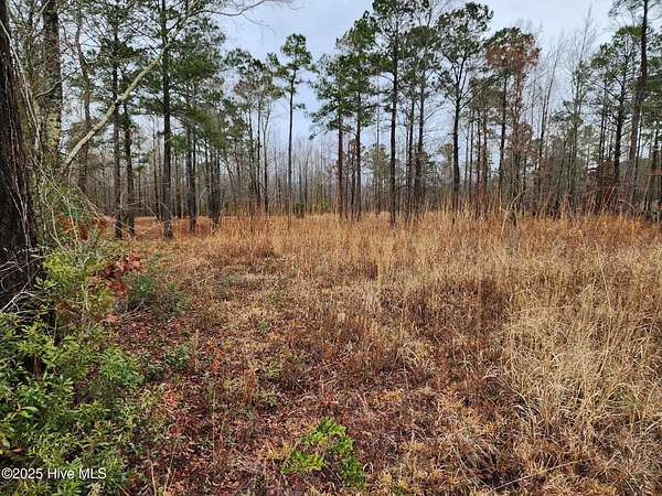 46 Acres of Land for Sale in Vanceboro, North Carolina