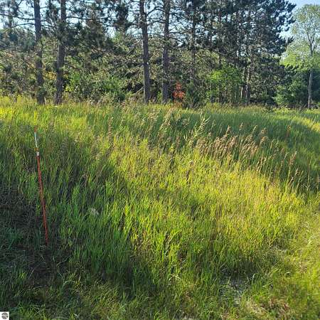5 Acres of Land for Sale in Fife Lake, Michigan