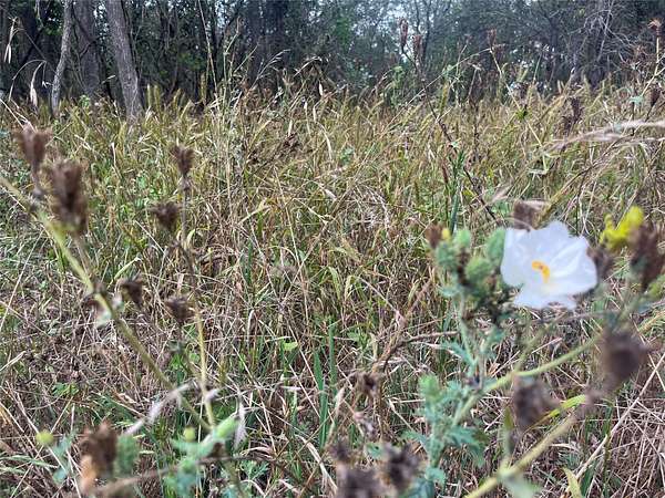 0.3 Acres of Residential Land for Sale in Bastrop, Texas