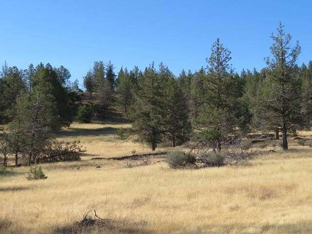 1.3 Acres of Residential Land for Sale in Hornbrook, California