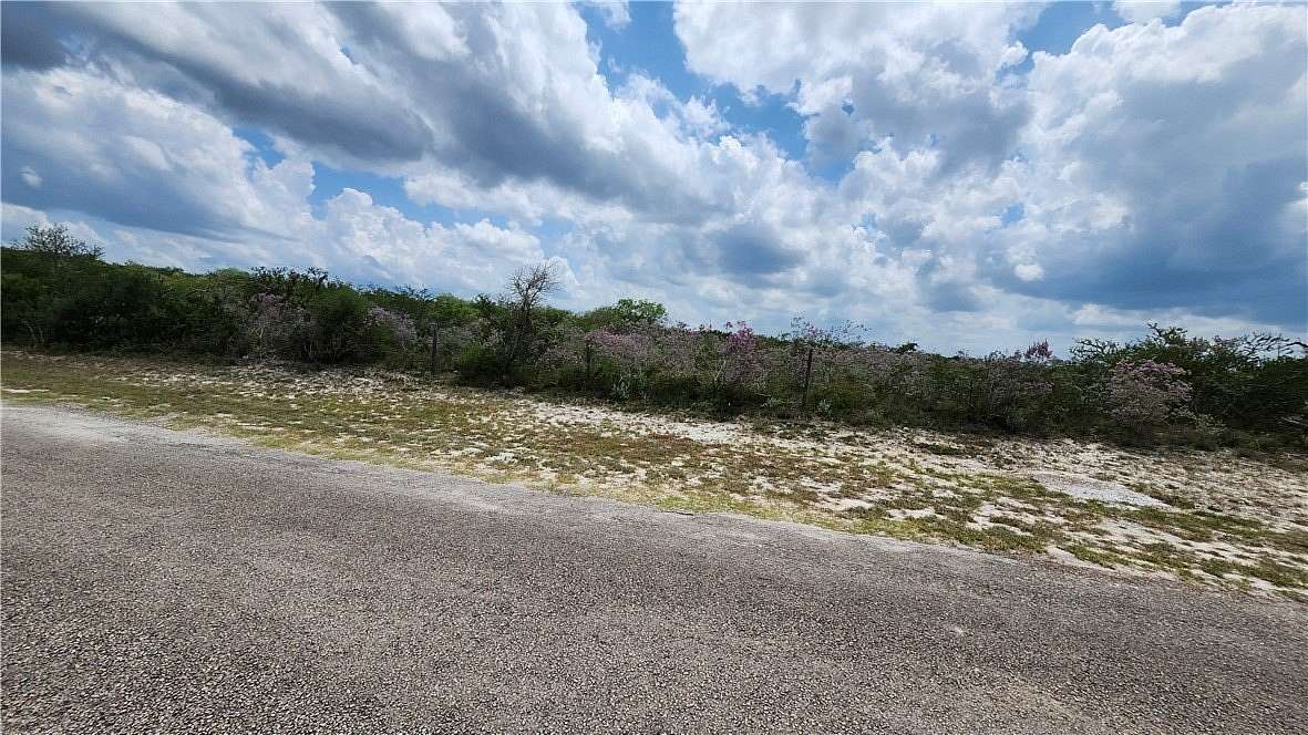 0.33 Acres of Land for Sale in Sandia, Texas