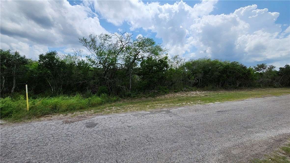 0.4 Acres of Land for Sale in Sandia, Texas