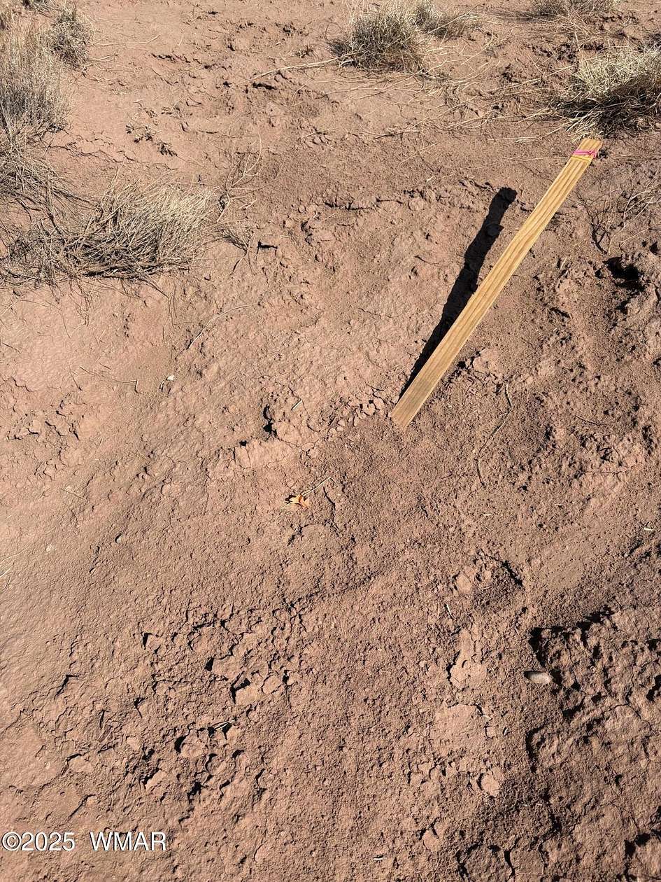 5 Acres of Land for Sale in Snowflake, Arizona