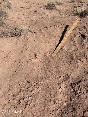 5 Acres of Land for Sale in Snowflake, Arizona