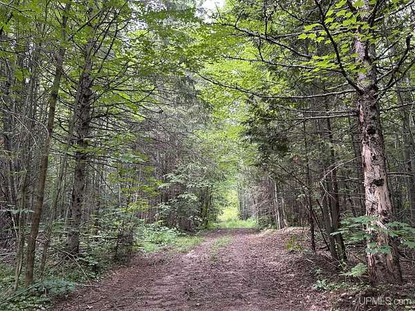 120 Acres of Recreational Land for Sale in Atlantic Mine, Michigan