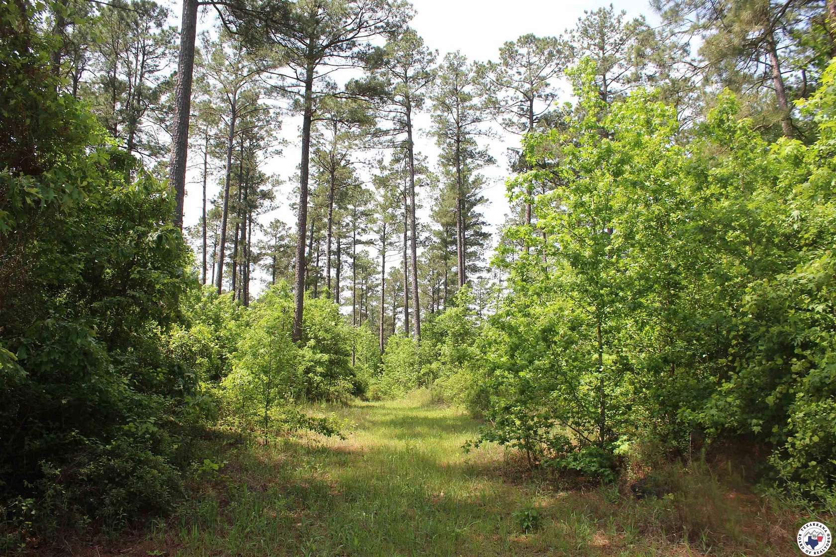 50 Acres of Recreational Land for Sale in Rosston, Arkansas
