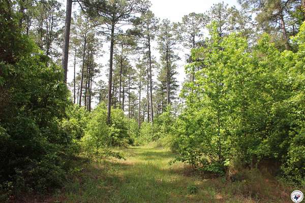 50 Acres of Recreational Land for Sale in Rosston, Arkansas