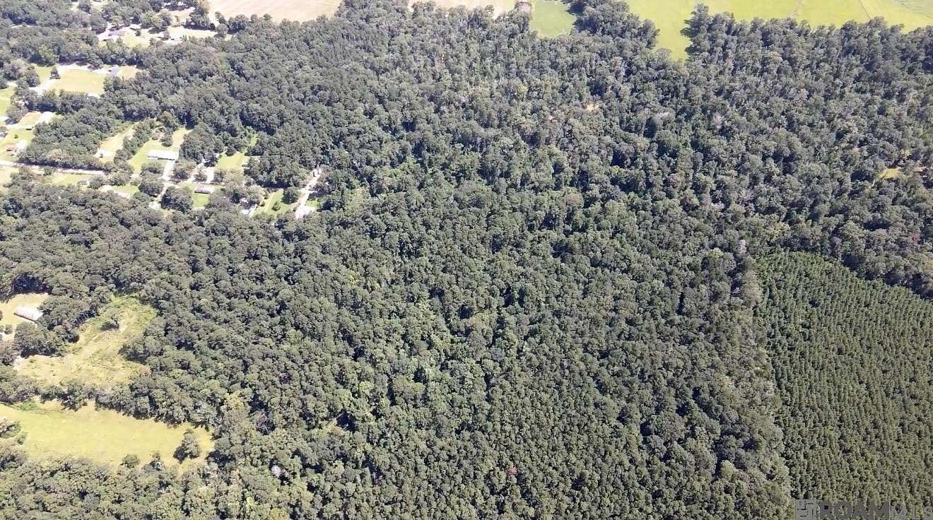 40 Acres of Land for Sale in Clinton, Louisiana