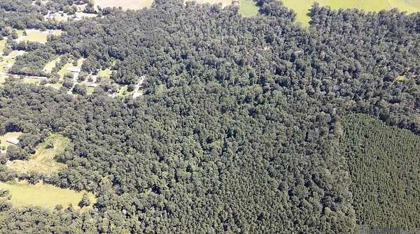 40 Acres of Land for Sale in Clinton, Louisiana