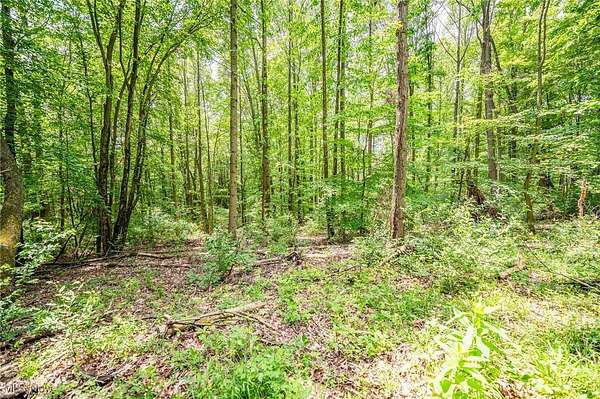 14.3 Acres of Recreational Land for Auction in Millersburg, Ohio