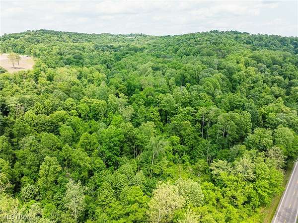 23.9 Acres of Recreational Land for Auction in Millersburg, Ohio