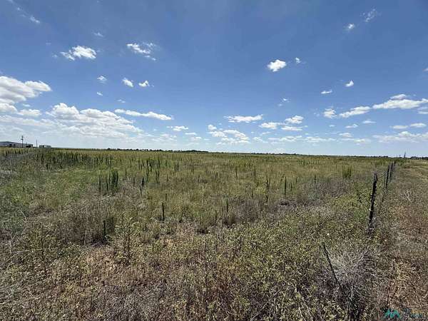 20 Acres of Land for Sale in Portales, New Mexico