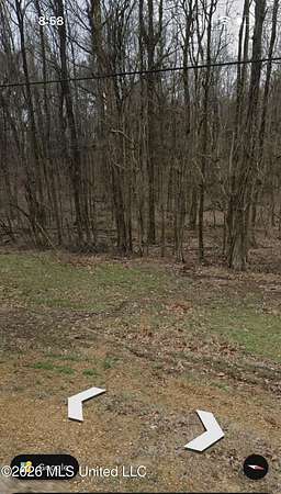 3.89 Acres of Residential Land for Sale in Lake Cormorant, Mississippi