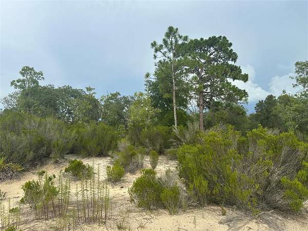 1.25 Acres of Residential Land for Sale in Bronson, Florida