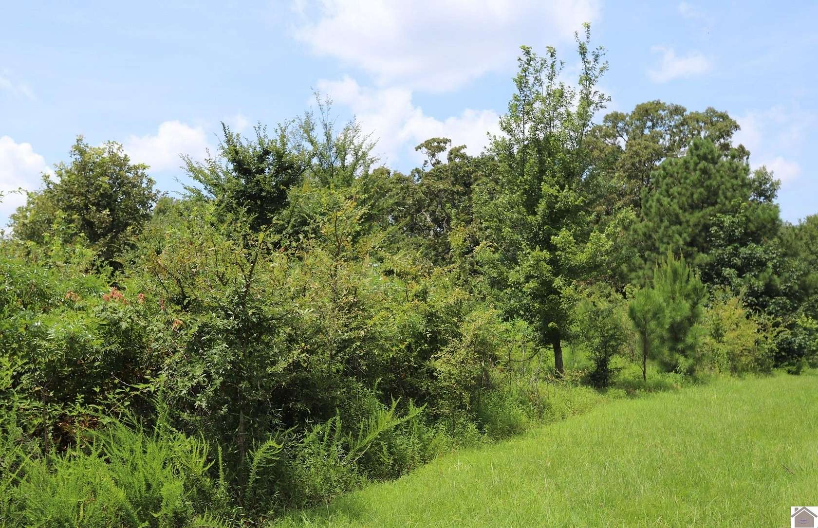 1.63 Acres of Residential Land for Sale in Murray, Kentucky