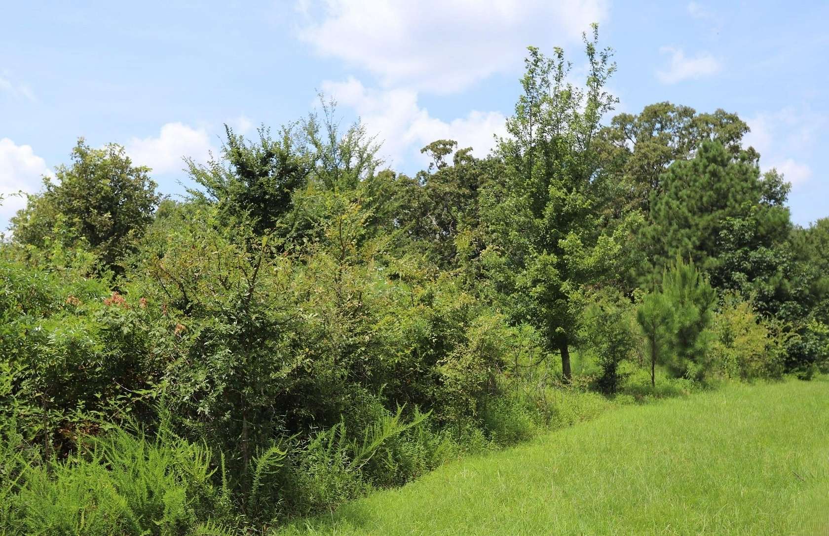 1.63 Acres of Residential Land for Sale in Murray, Kentucky