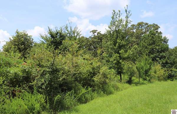 1.63 Acres of Residential Land for Sale in Murray, Kentucky