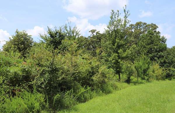 1.63 Acres of Residential Land for Sale in Murray, Kentucky