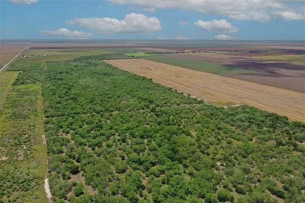 212 Acres of Recreational Land & Farm for Sale in Alice, Texas