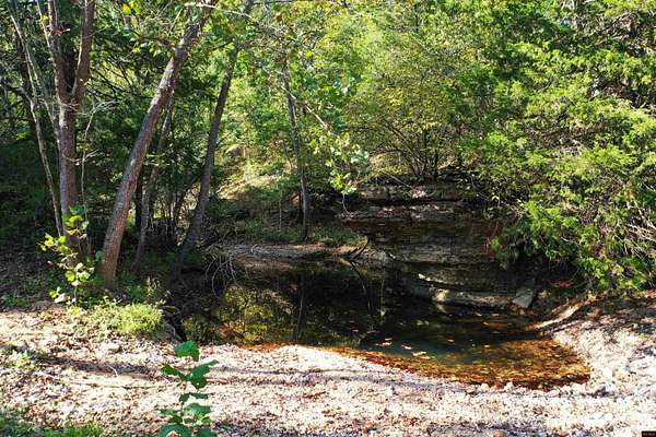 612 Acres of Recreational Land with Home for Sale in Mountain Home, Arkansas