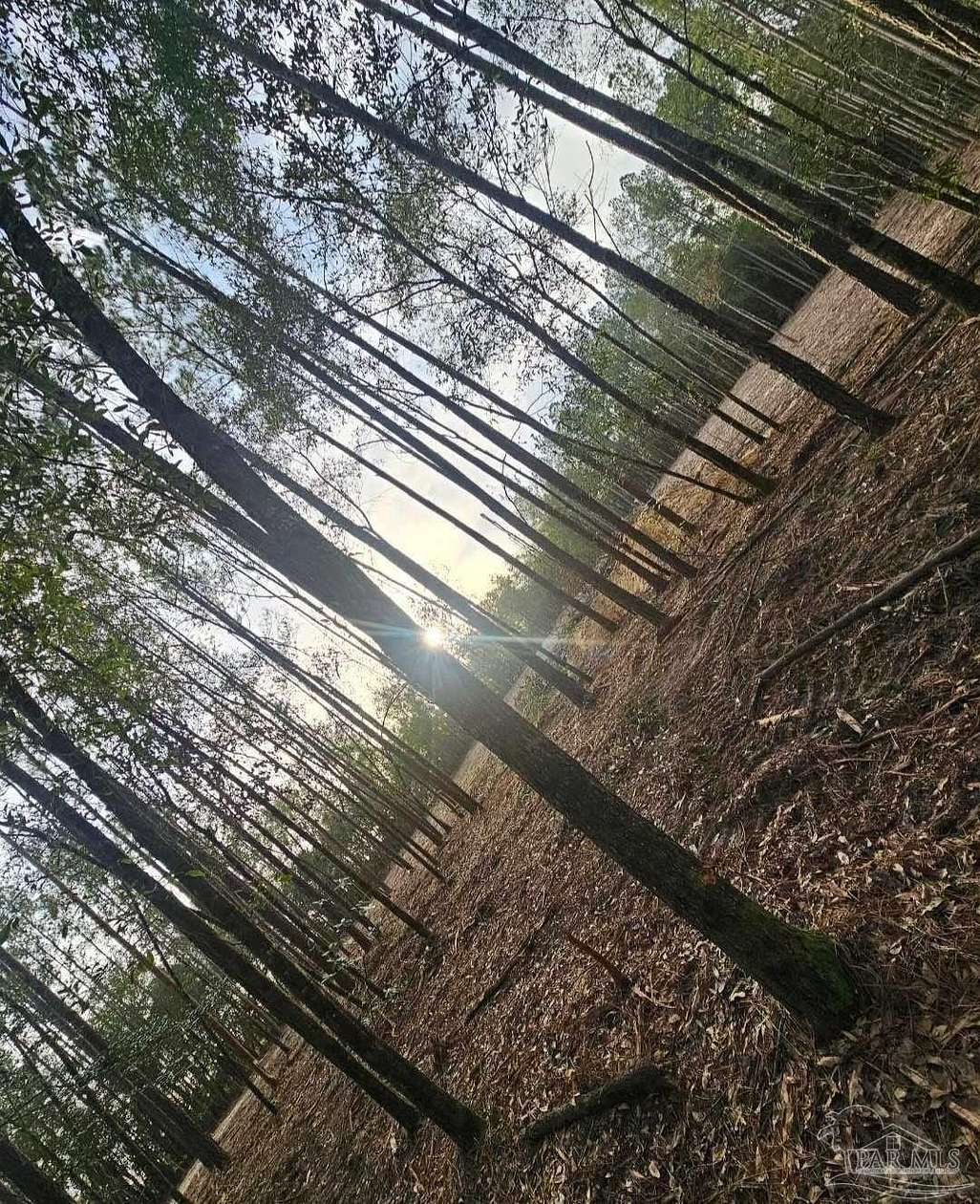 13.6 Acres of Recreational Land for Sale in Milton, Florida