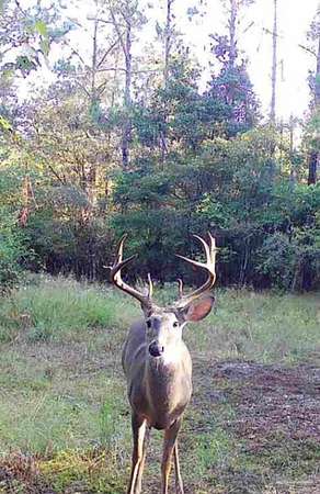 13 6 Acres of Recreational Land - Milton Fl 145167991