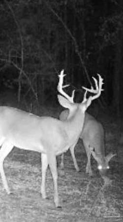 13 6 Acres of Recreational Land - Milton Fl 145167993