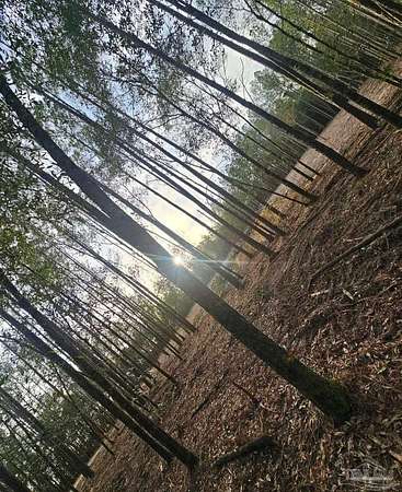 13.6 Acres of Recreational Land for Sale in Milton, Florida