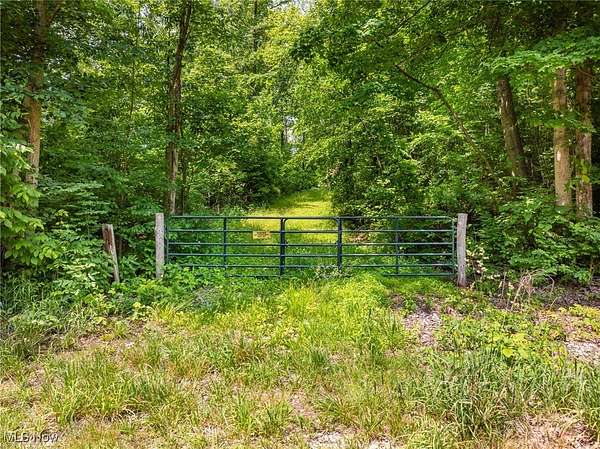 33.2 Acres of Recreational Land for Auction in Millersburg, Ohio