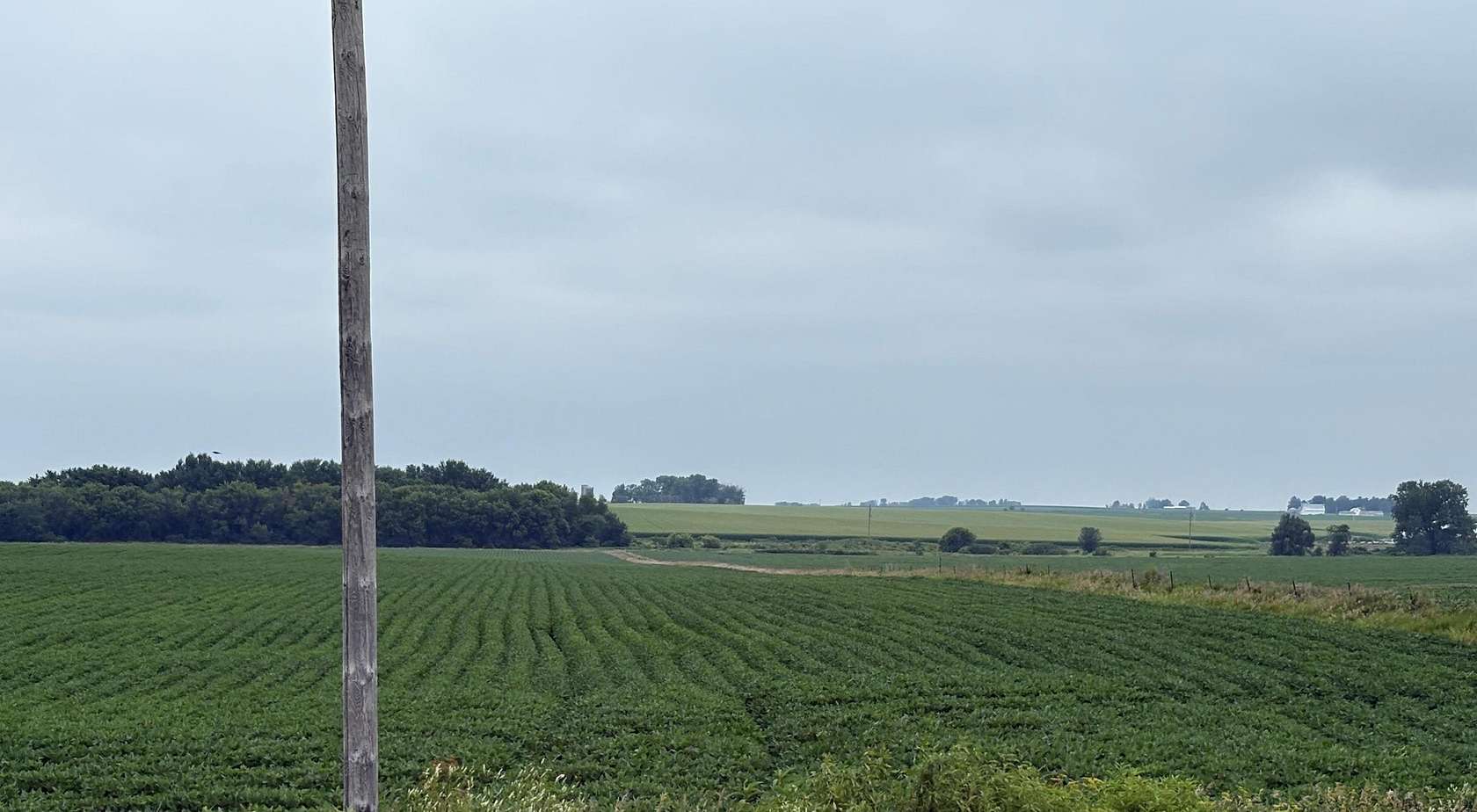 31.8 Acres of Agricultural Land for Sale in Greene, Iowa