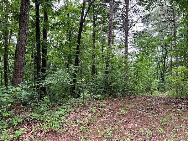 22.2 Acres of Land for Sale in Ellijay, Georgia