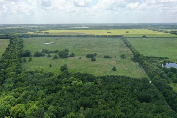 71 Acres of Land for Sale in Celeste, Texas