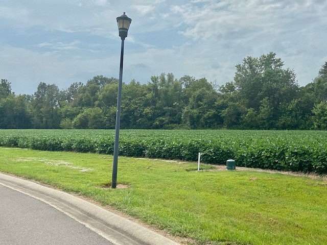 10.5 Acres of Land for Sale in Dexter, Missouri