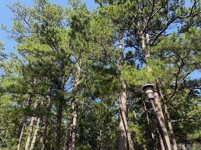 0.3 Acres of Residential Land for Sale in Hot Springs Village, Arkansas