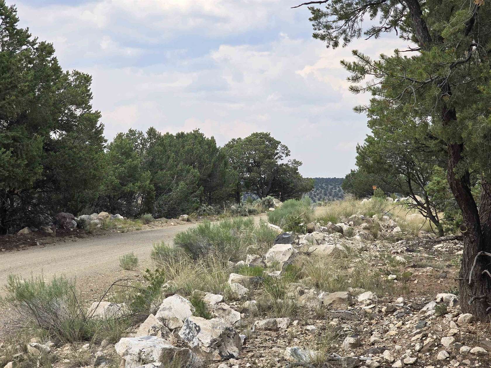 5 Acres of Agricultural Land for Sale in Arroyo Hondo, New Mexico
