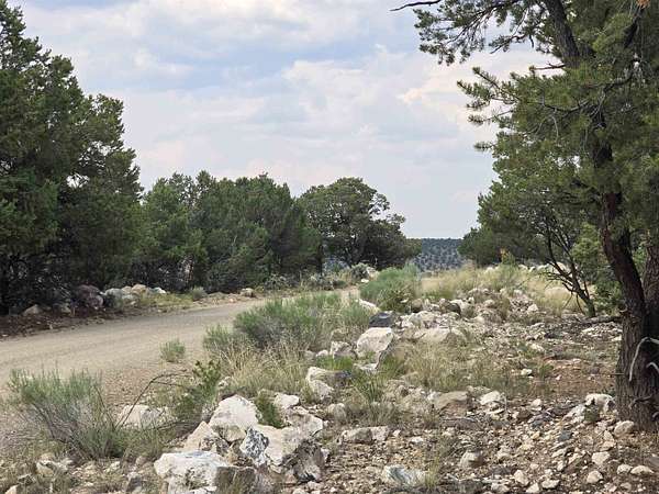 5 Acres of Agricultural Land for Sale in Arroyo Hondo, New Mexico