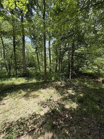 3.29 Acres of Residential Land for Sale in Pigeon Forge, Tennessee