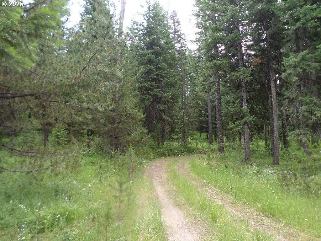 60 Acres of Recreational Land for Sale in Wallowa, Oregon
